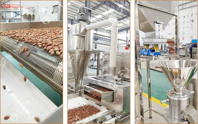 Opening a Cocoa Processing Plant in Cameroon