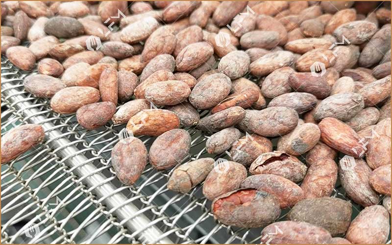 The Importance of Roasting in Cocoa Processing