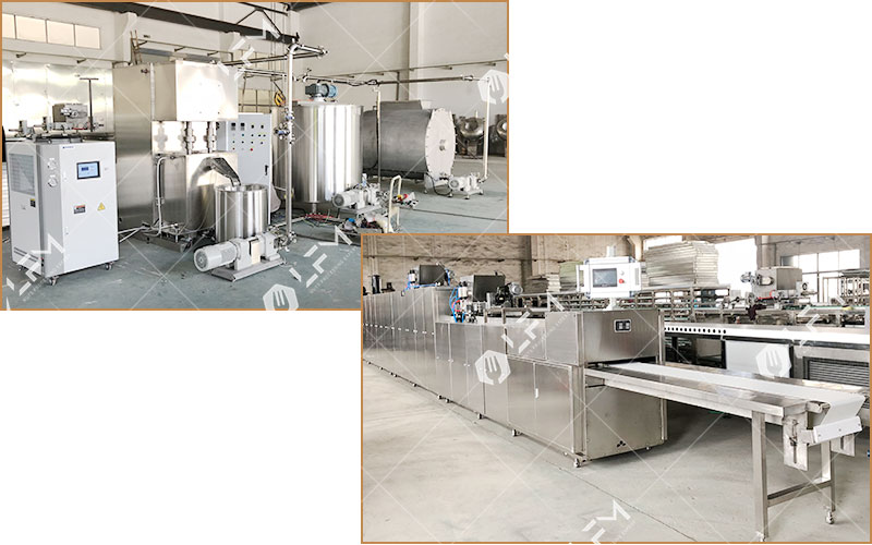 Establishing a Chocolate Manufacturing Plant in Switzerland