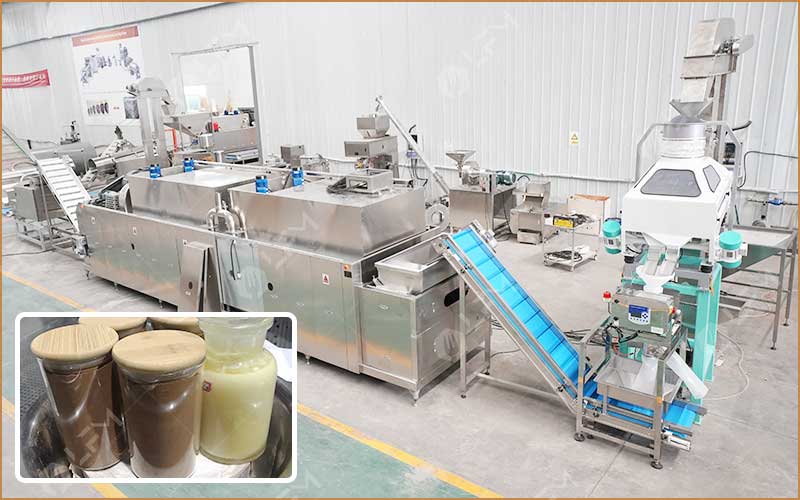 Establishing a Cocoa Processing Plant in France