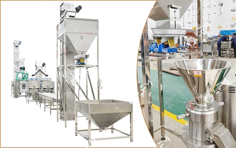 Establishing a Cocoa Processing Plant Project