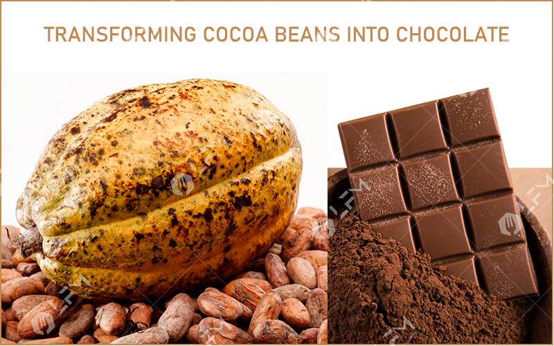 Transforming Cocoa Beans into Chocolate
